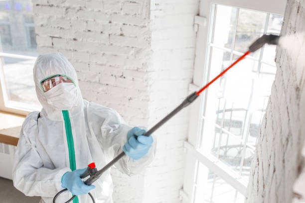 Best Real Estate Mold Inspection  in Noroton Heights, CT