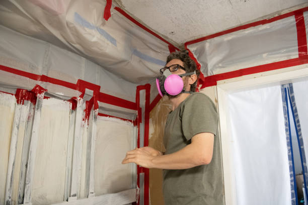 Best HVAC Mold Inspection and Cleaning  in Noroton Heights, CT