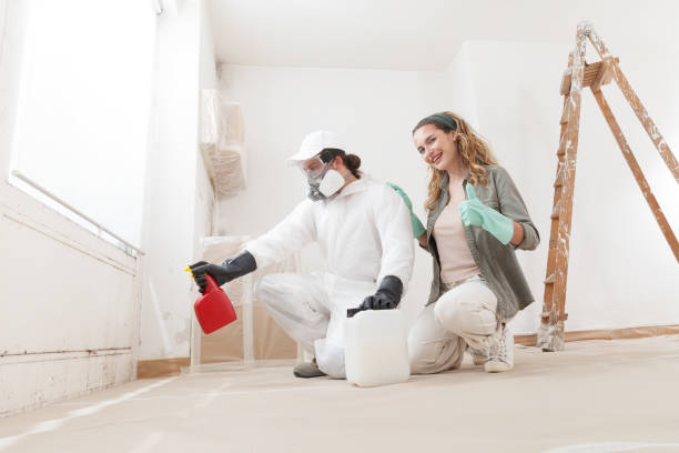 Best Post-Construction Mold Inspection  in Noroton Heights, CT